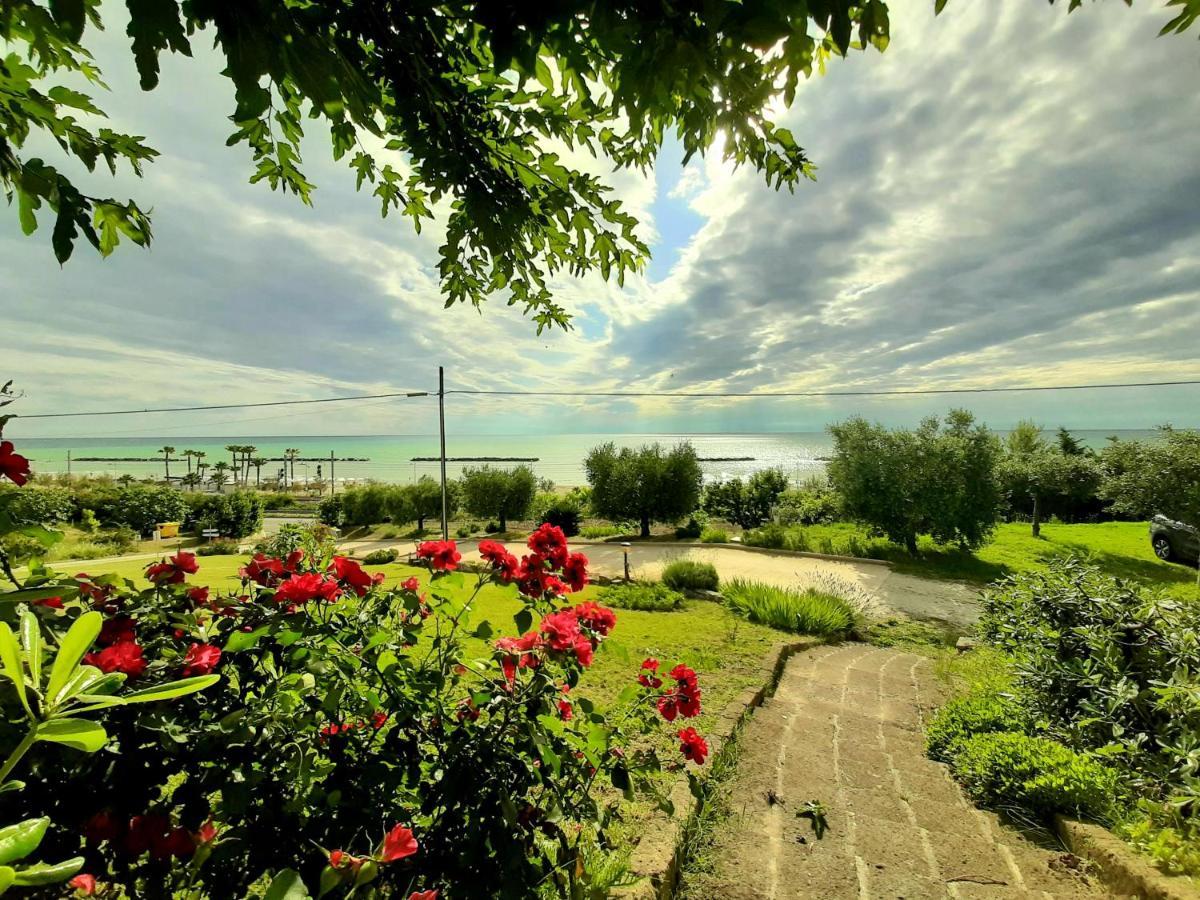 Bio Agriturismo Mare In Campagna Campofilone Exterior foto