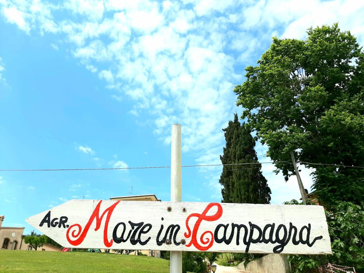 Bio Agriturismo Mare In Campagna Campofilone Exterior foto