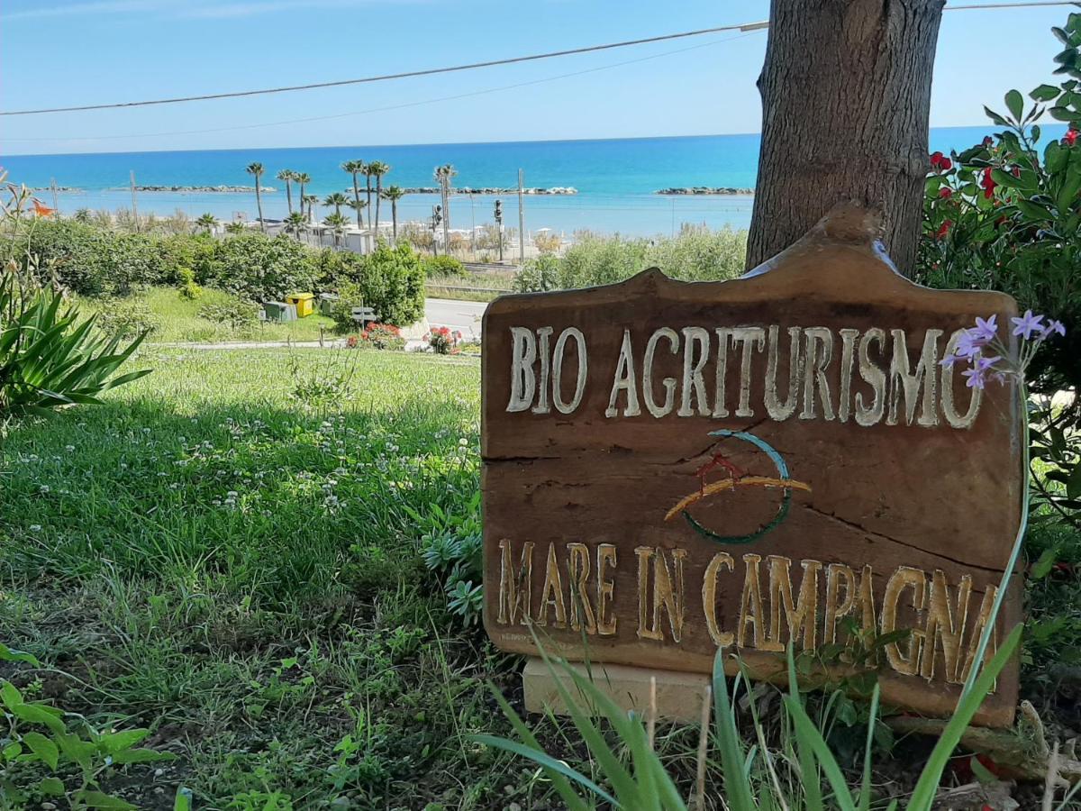 Bio Agriturismo Mare In Campagna Campofilone Exterior foto